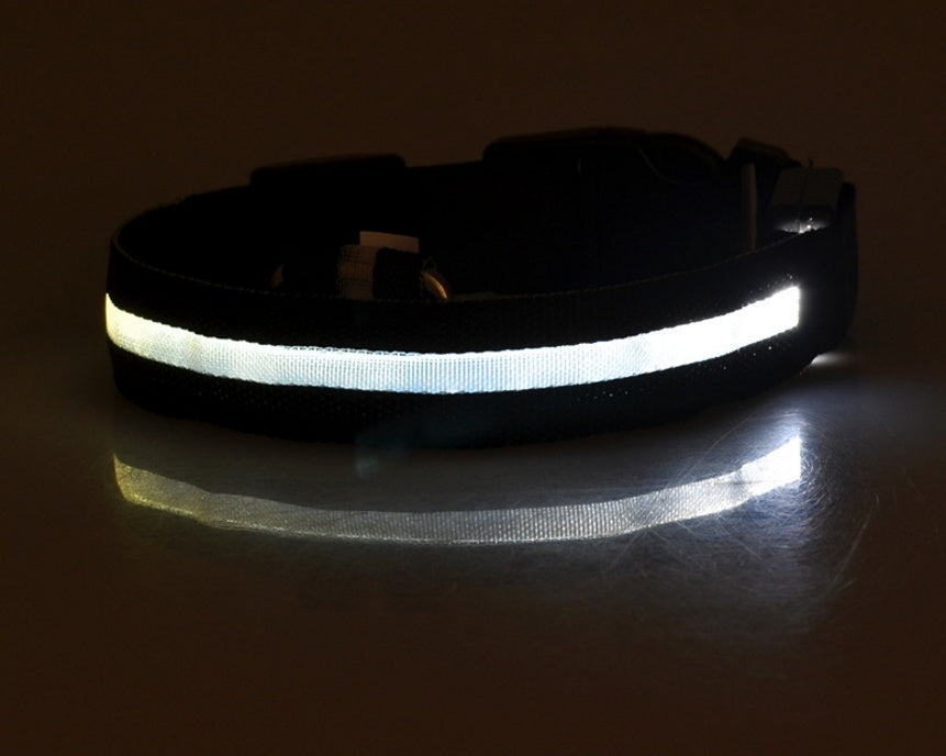 Nylon LED Pet Dog Luminous Collar Night Safety Flashing Glow in Dark Dog Cat Leash Adjustable Pet Supplies - Minerva Mart