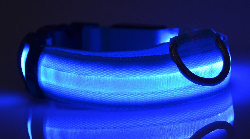 Nylon LED Pet Dog Luminous Collar Night Safety Flashing Glow in Dark Dog Cat Leash Adjustable Pet Supplies - Minerva Mart
