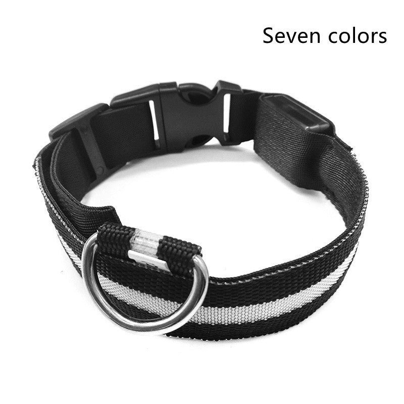 Nylon LED Pet Dog Luminous Collar Night Safety Flashing Glow in Dark Dog Cat Leash Adjustable Pet Supplies - Minerva Mart