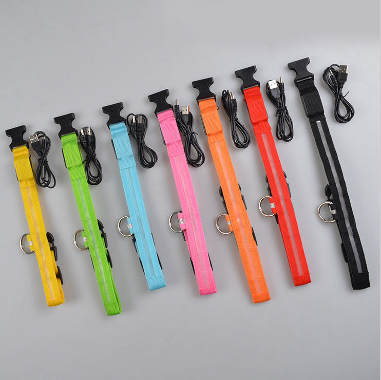 Nylon LED Pet Dog Luminous Collar Night Safety Flashing Glow in Dark Dog Cat Leash Adjustable Pet Supplies - Minerva Mart