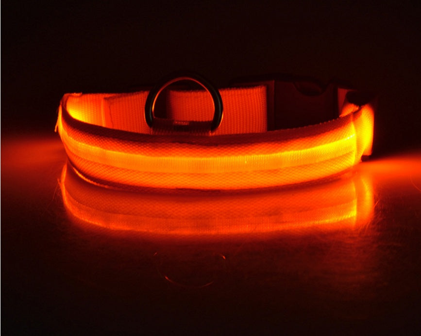 Nylon LED Pet Dog Luminous Collar Night Safety Flashing Glow in Dark Dog Cat Leash Adjustable Pet Supplies - Minerva Mart