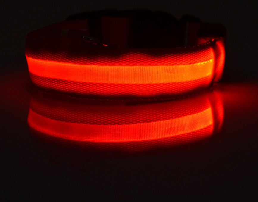 Nylon LED Pet Dog Luminous Collar Night Safety Flashing Glow in Dark Dog Cat Leash Adjustable Pet Supplies - Minerva Mart