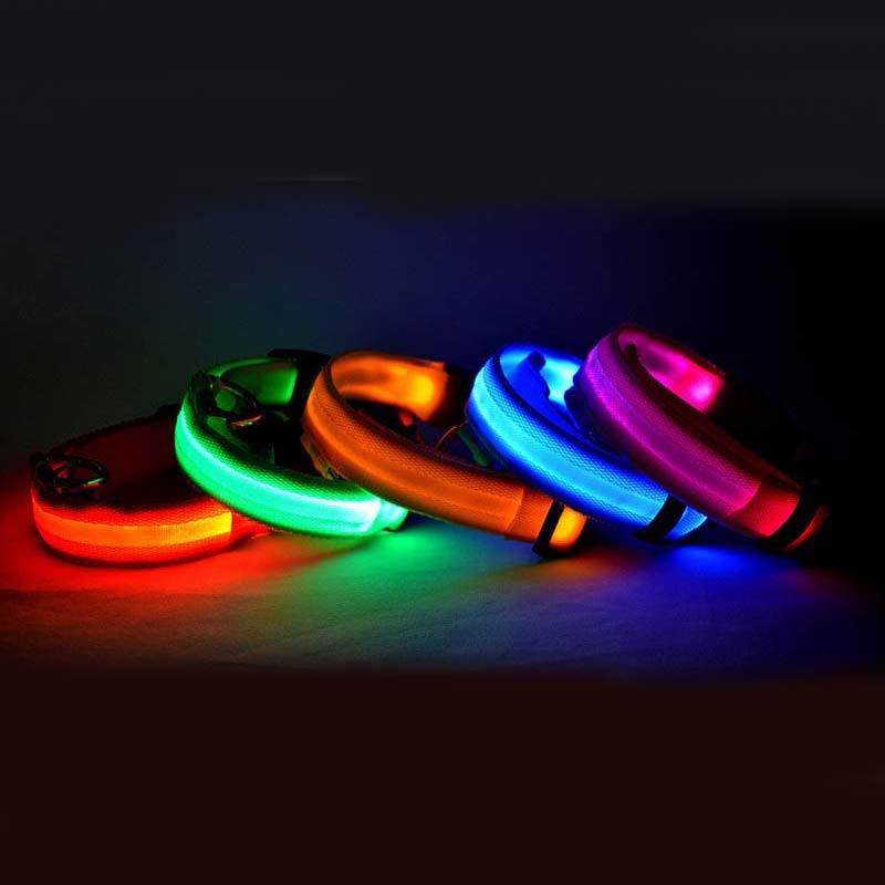Nylon LED Pet Dog Luminous Collar Night Safety Flashing Glow in Dark Dog Cat Leash Adjustable Pet Supplies - Minerva Mart