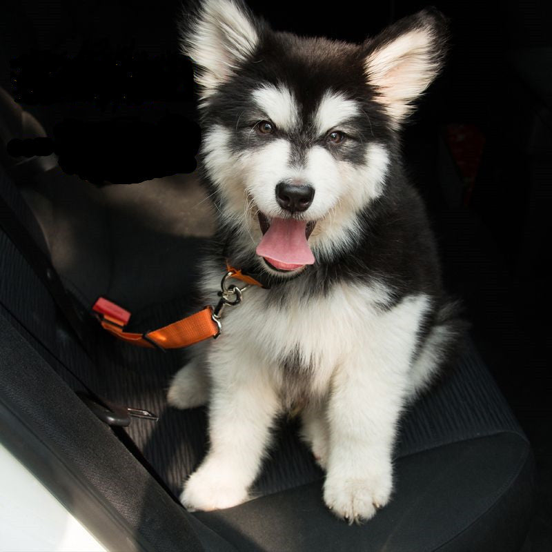 Adjustable Dog Car Seat Belt – Reflective, Elastic, and Secure Travel Harness Lead