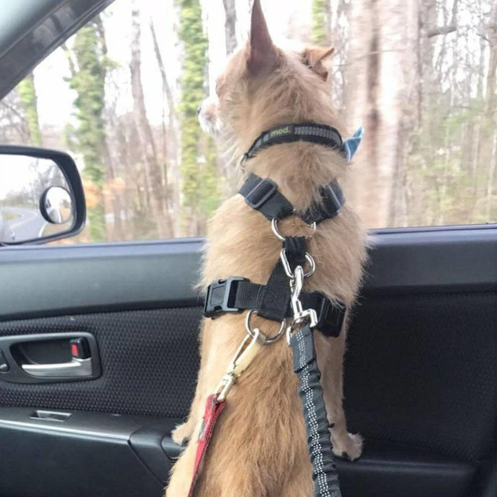 Adjustable Dog Car Seat Belt – Reflective, Elastic, and Secure Travel Harness Lead